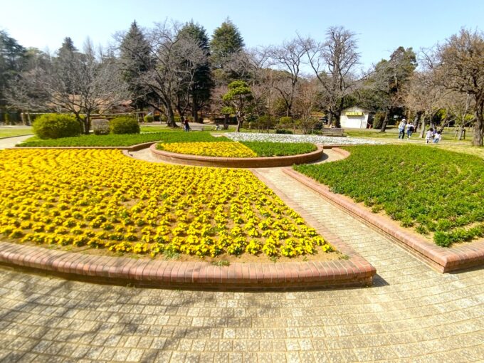 里見公園の円形の花壇