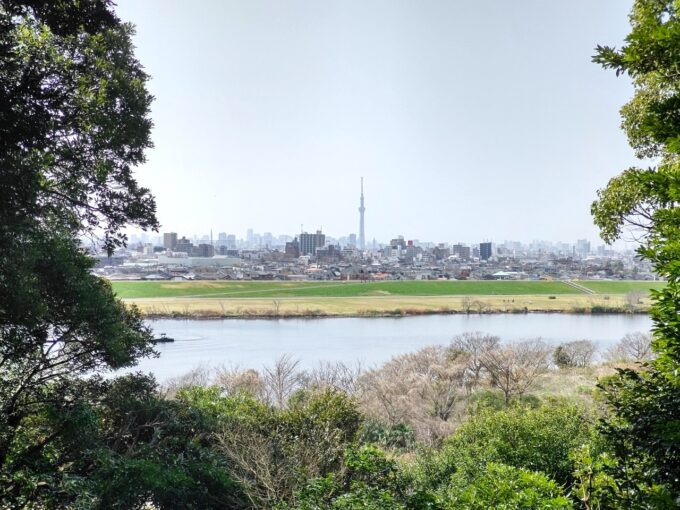 里見公園から見た東京方面の街並み