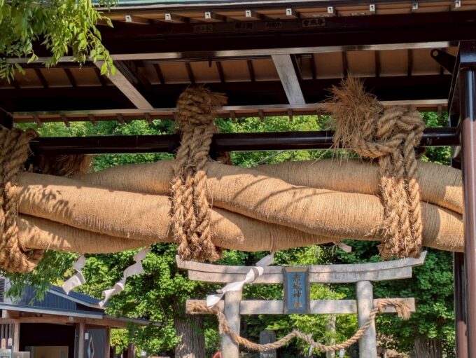 赤城神社の大しめ縄